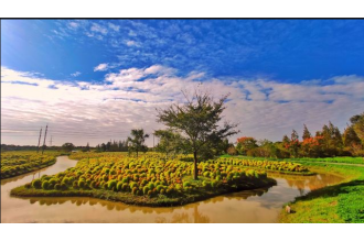 花開海上公園訂購木質垃圾桶